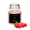 Puremazing Premium  Scented Candles | Natural Scents of Candles| Gift that embodies style Candle