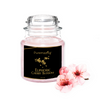 Puremazing Premium  Scented Candles | Natural Scents of Candles| Gift that embodies style Candle
